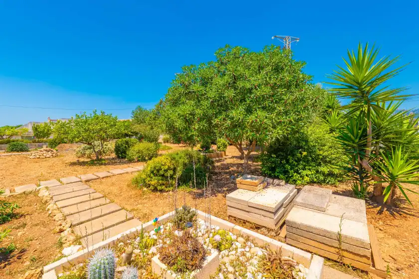 Holiday rentals in Can tomeu, Inca