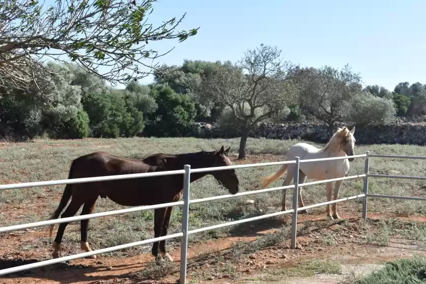 Alquiler vacacional en Son gener (manacor), Manacor