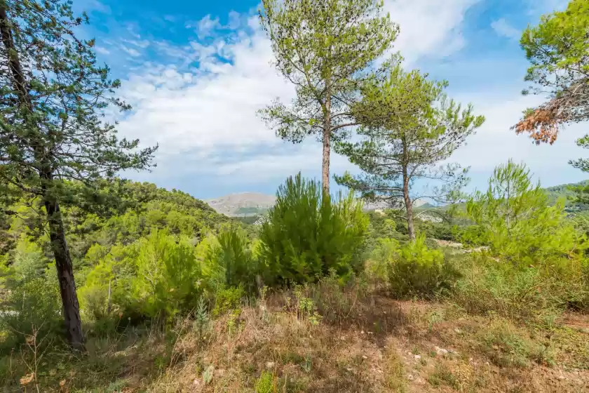 Alquiler vacacional en Massib, Escorca