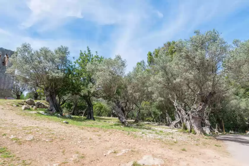 Alquiler vacacional en Sa garriga de can barratot, Selva