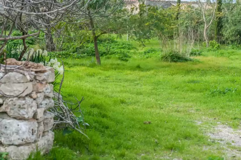 Alquiler vacacional en Barraquer, Llubí