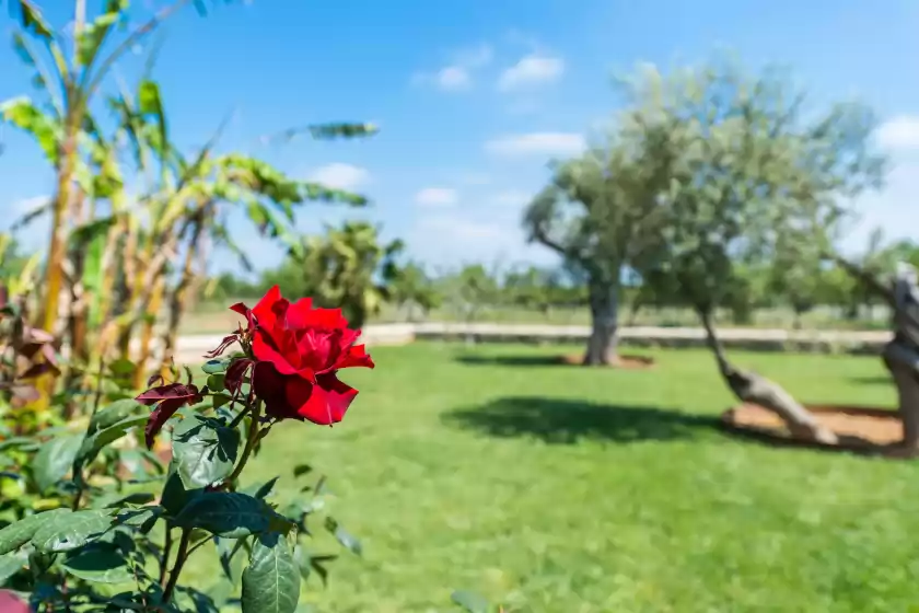 Ferienunterkünfte in Sa parellada, Moscari