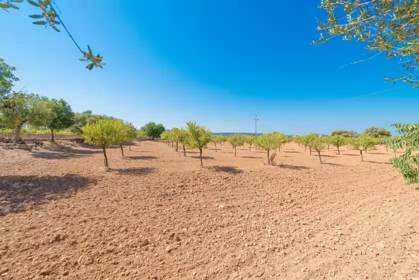 Ferienunterkünfte in S´arbosar rural, Santa María del Camí