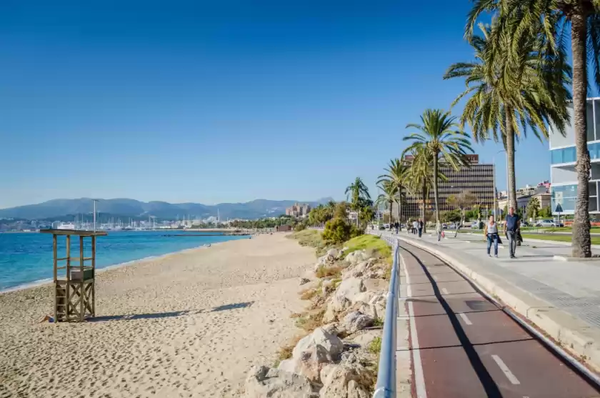 Alquiler vacacional en Escuma, Palma