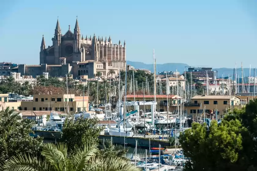 Alquiler vacacional en Escuma, Palma