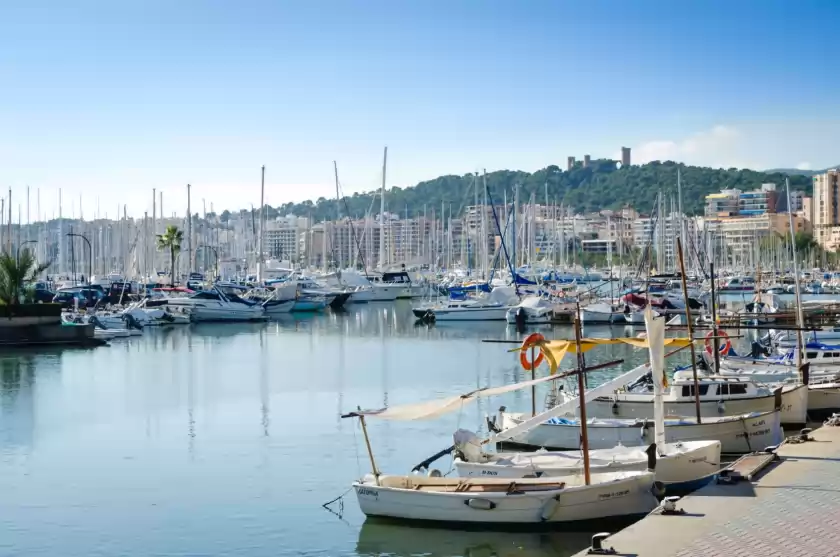 Alquiler vacacional en Escuma, Palma