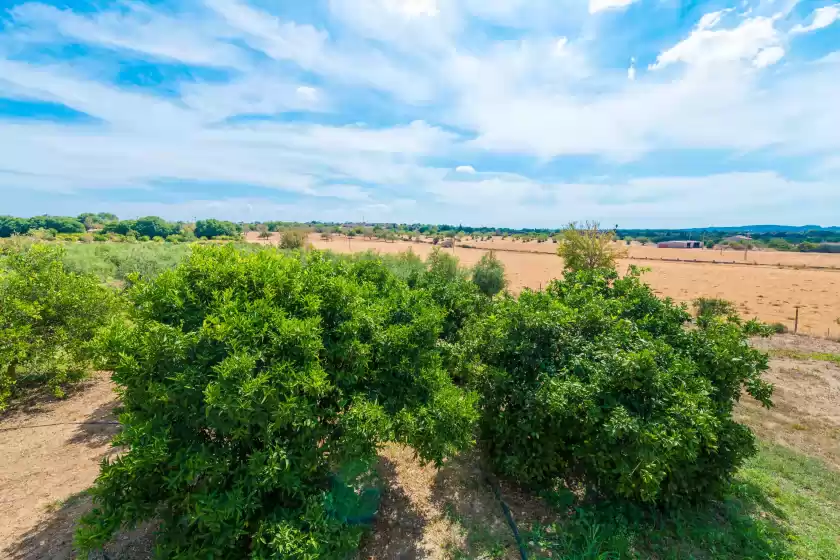 Alquiler vacacional en Son jordi, Llubí