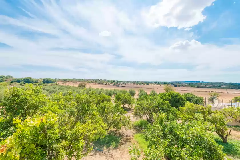 Alquiler vacacional en Son jordi, Llubí