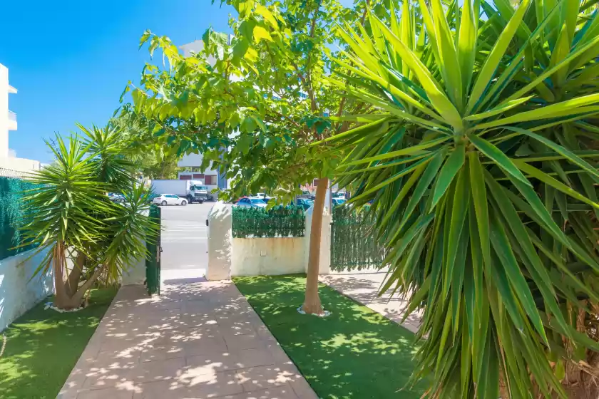 Holiday rentals in Port major, Port de Pollença