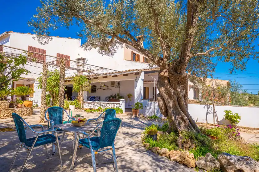 Holiday rentals in Casa catalina sarola, Campanet