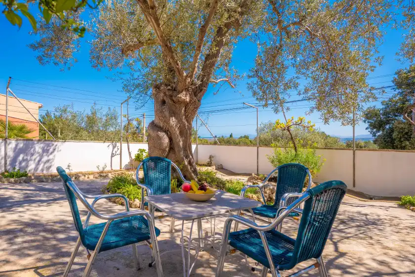 Holiday rentals in Casa catalina sarola, Campanet