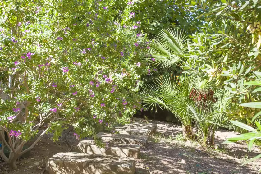 Alquiler vacacional en Villa cala padri, Font de sa Cala