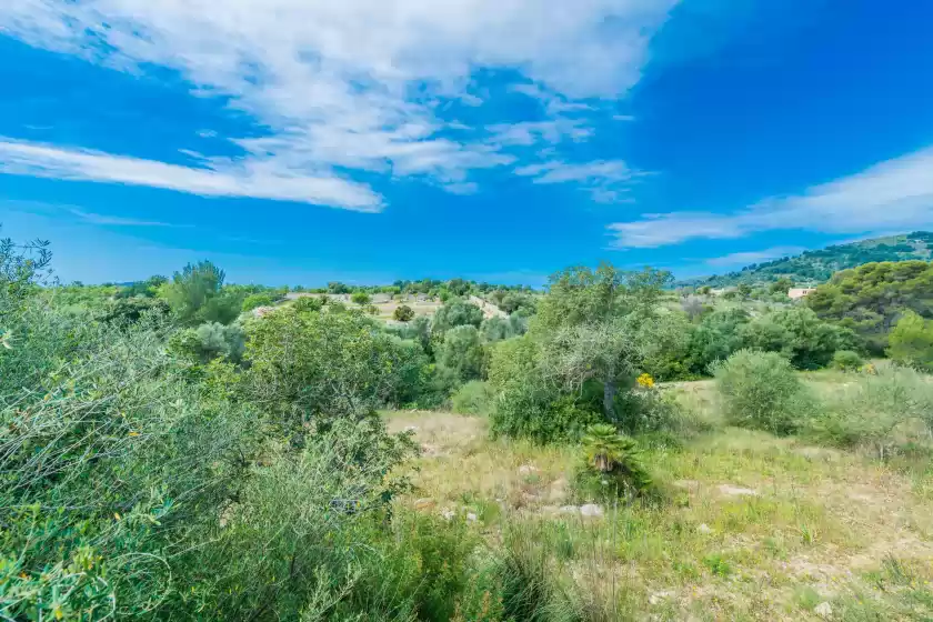 Holiday rentals in Can canals, Artà