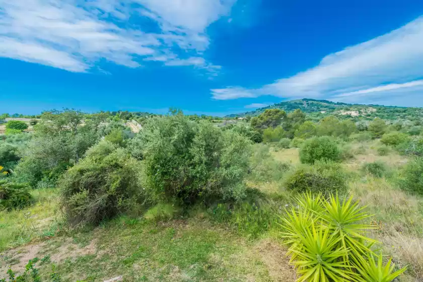 Holiday rentals in Can canals, Artà