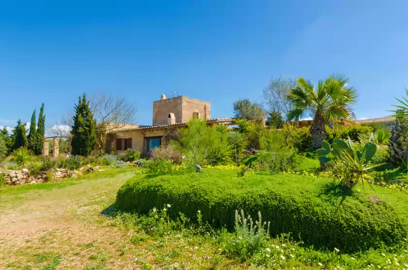 Holiday rentals in Villa es molí des trenc, Campos