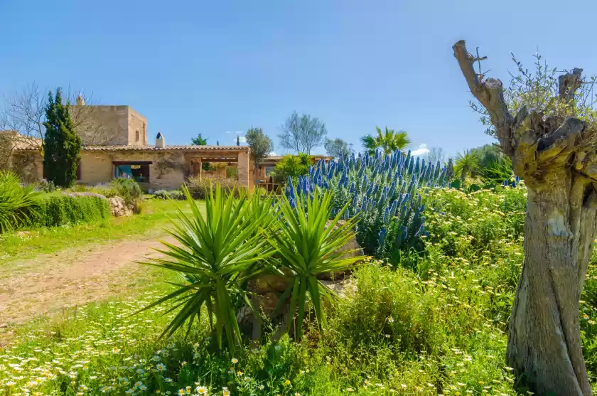 Ferienunterkünfte in Villa es molí des trenc, Campos