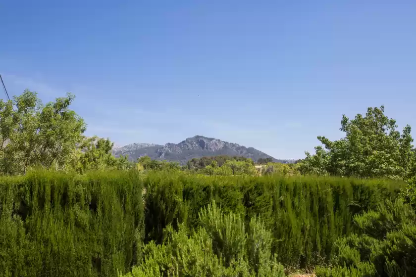 Ferienunterkünfte in Can pereó, Selva