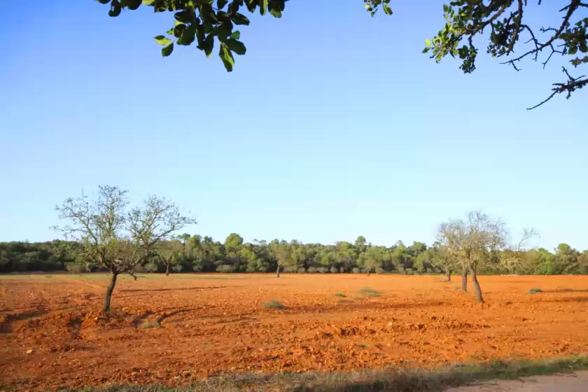 Alquiler vacacional en Can cotoneta, Campos