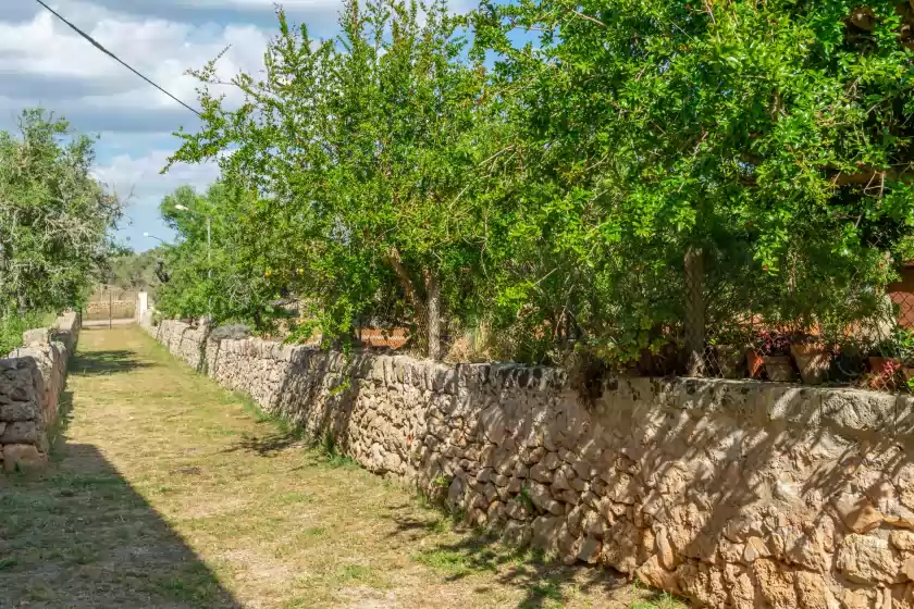 Alquiler vacacional en Can fiolet, Algaida