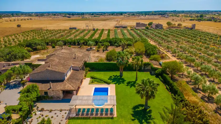 Holiday rentals in Son vanrell (campos), Campos