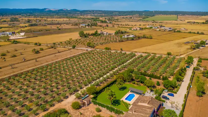 Holiday rentals in Son vanrell (campos), Campos