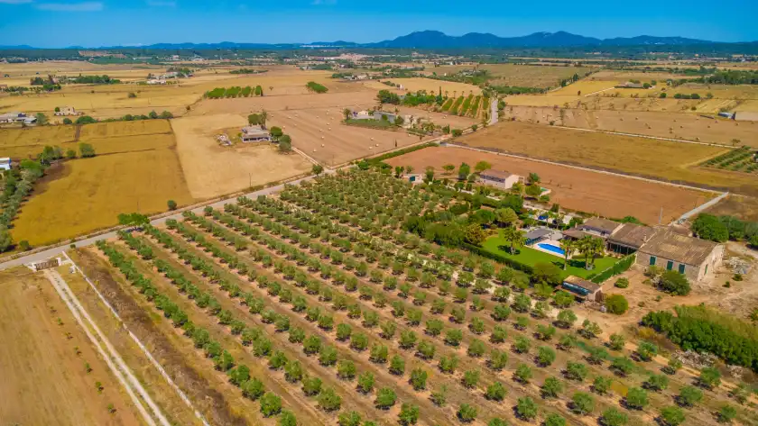 Holiday rentals in Son vanrell (campos), Campos