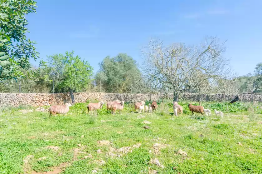 Ferienunterkünfte in Can potdir, Ariany