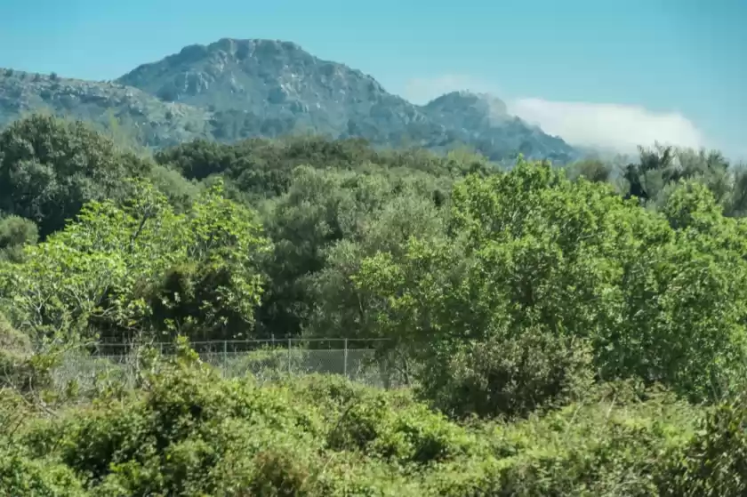 Alquiler vacacional en Cas padri 6, Capdepera