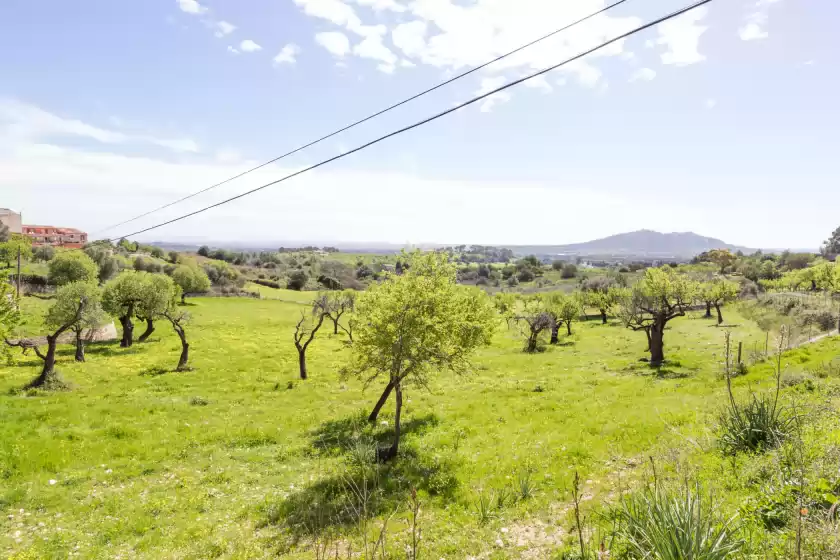 Holiday rentals in Can farré, Moscari