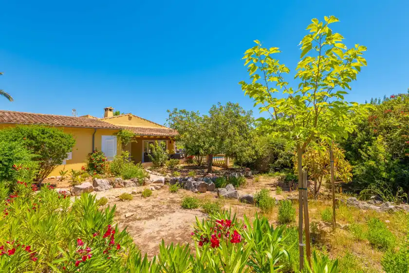 Holiday rentals in Ca na margalida, Cala Murada
