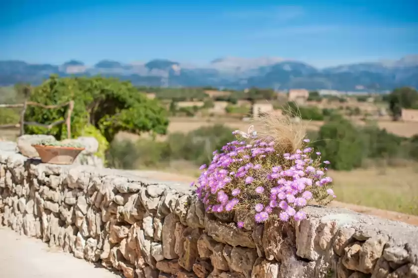 Holiday rentals in Sa tanca de can vicens 6, Sencelles