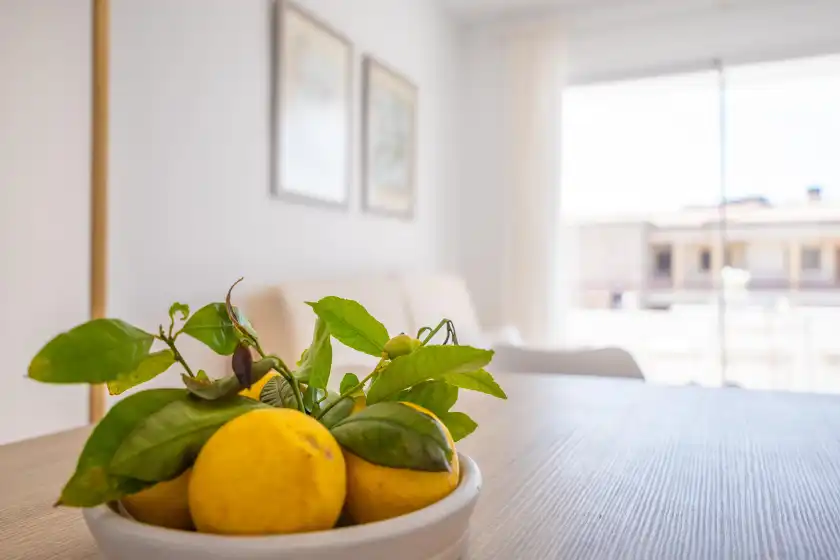 Holiday rentals in La llimona, Port de Pollença