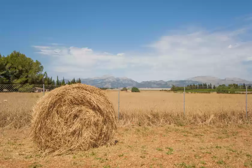 Alquiler vacacional en S'estacio, Muro