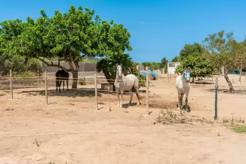 Alquiler vacacional en Casa angela, Capdepera