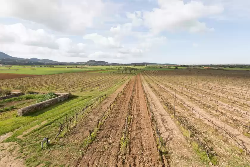 Alquiler vacacional en Son cifre, Felanitx