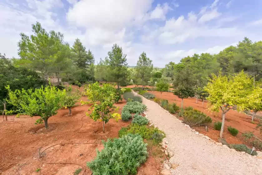 Alquiler vacacional en Can mira, Sant Llorenç de Balàfia