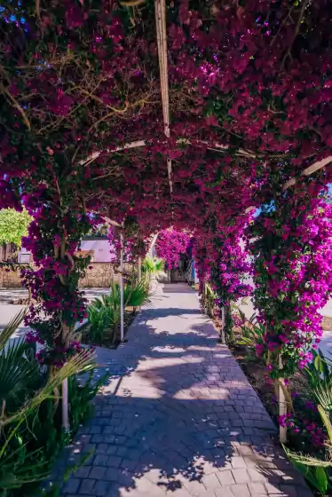 Alquiler vacacional en Villa rouge, Sant Antoni de Portmany