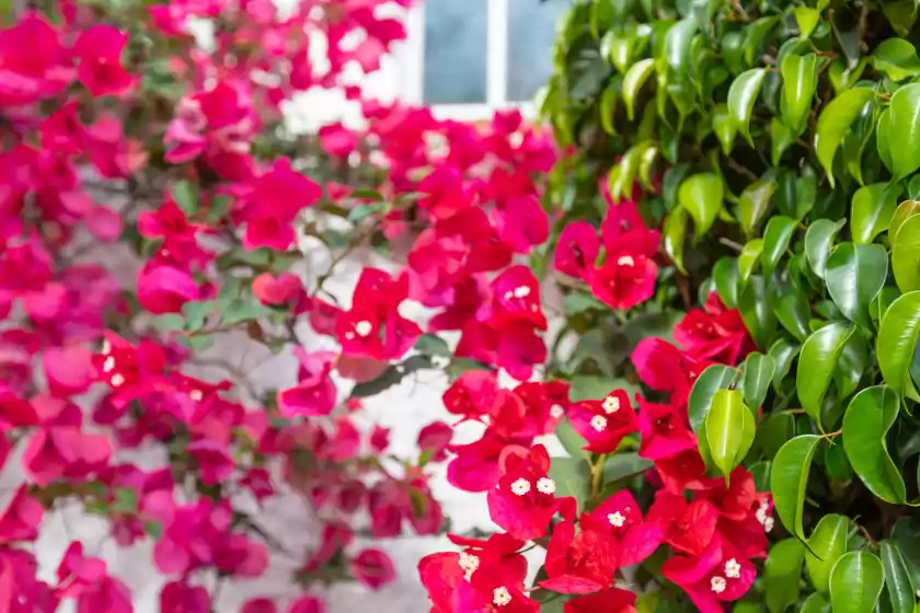 Holiday rentals in El relojero - adults only, Marbella
