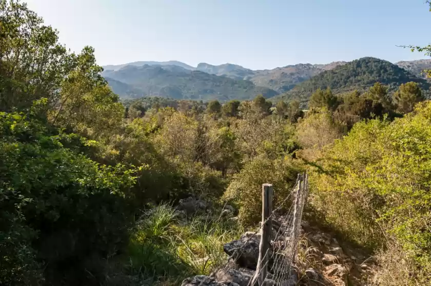 Alquiler vacacional en Casa de piedra, Campanet