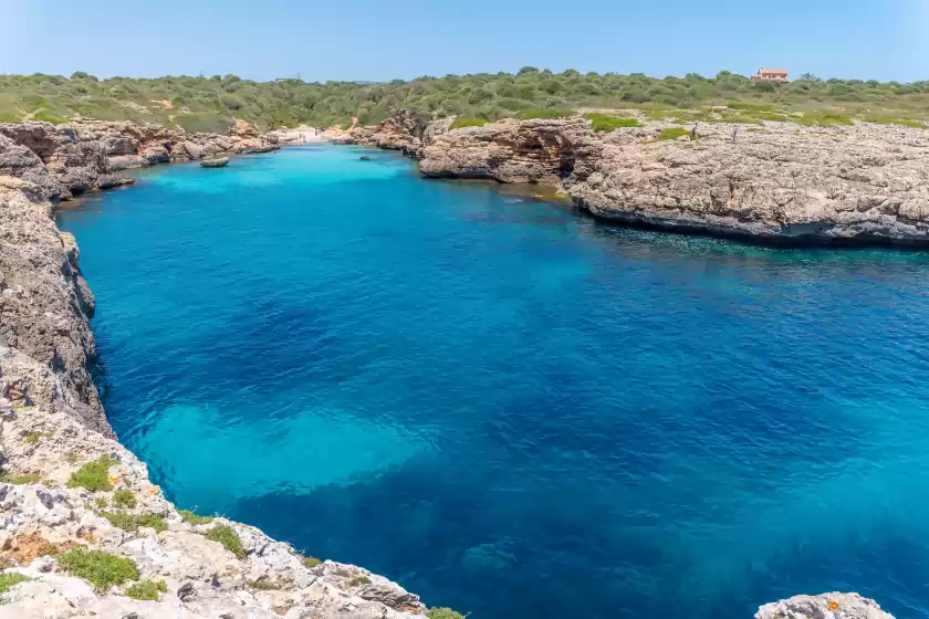 Alquiler vacacional en Finca can guillem boquet, Porto Cristo