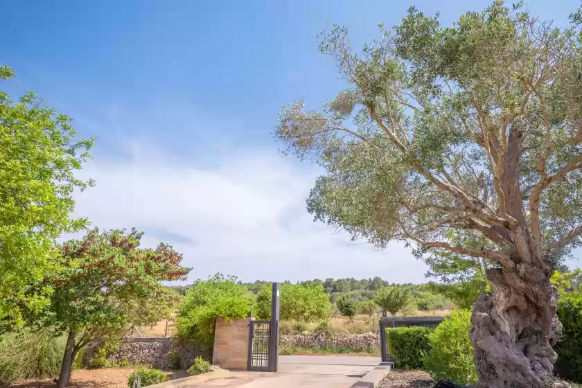 Holiday rentals in Sa xigala, Algaida