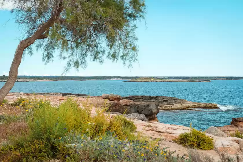 Alquiler vacacional en Galiota dos, Colònia de Sant Jordi