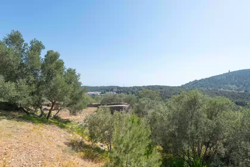 Ferienunterkünfte in Son muntaner, Palma