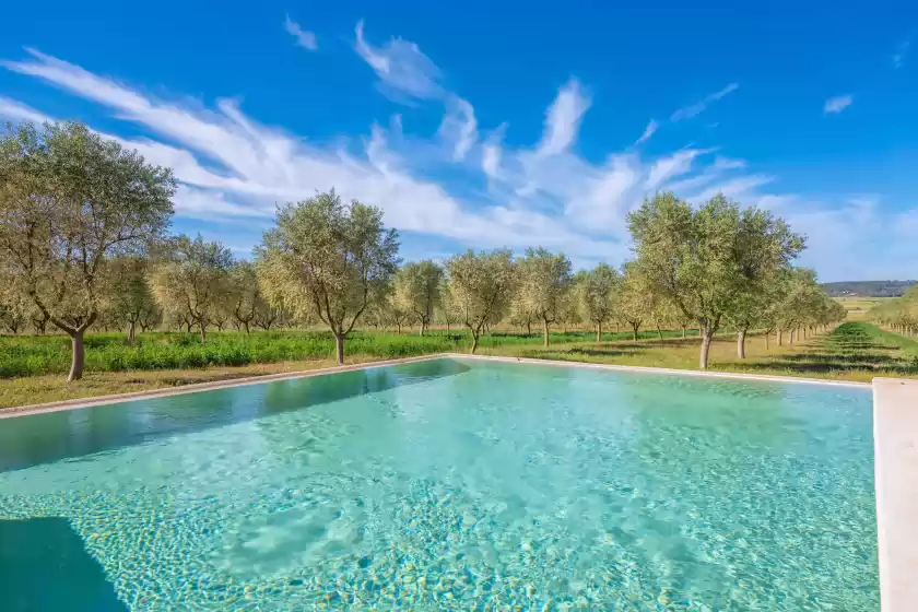 Holiday rentals in Gossalba - estandard, Sant Joan
