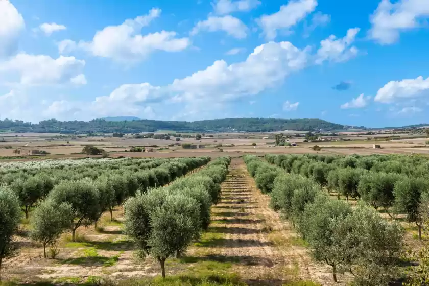 Holiday rentals in Gossalba - deluxe, Sant Joan