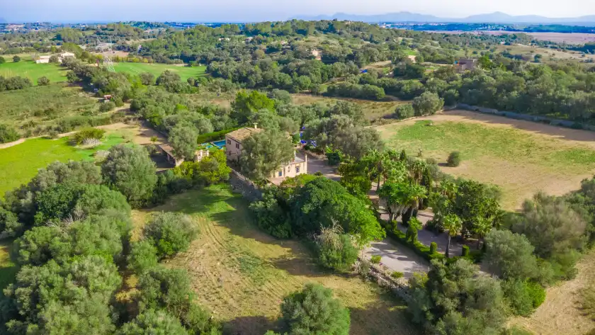 Holiday rentals in Son burguet, Llubí