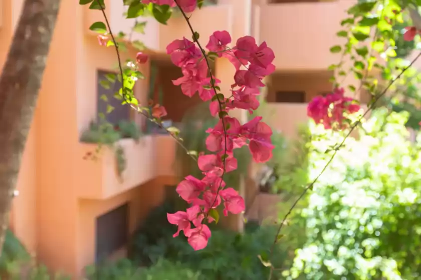 Holiday rentals in La gaviota, Marbella