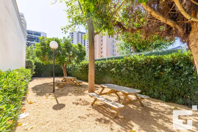 Location de vacances à Estrella de calpe 8c - grupo turis, Calp