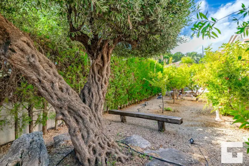 Holiday rentals in Coral - grupo turis, Fanadix