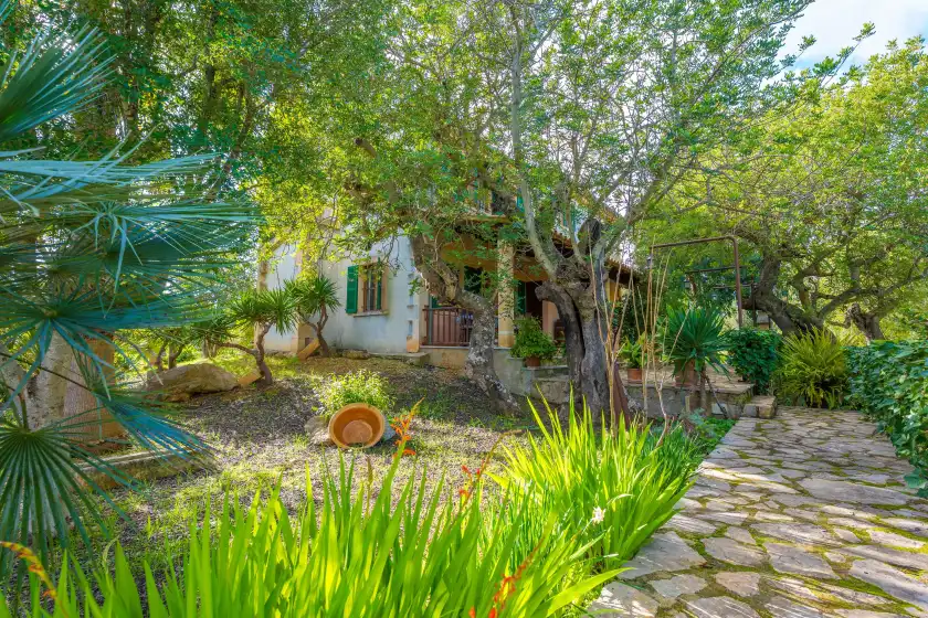 Alquiler vacacional en Can tabou, Selva